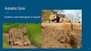 Species Endemic To Gujarat