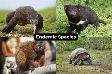 Species Endemic To Ohio