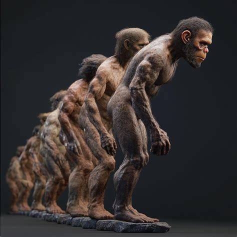 Species Of Early Humans