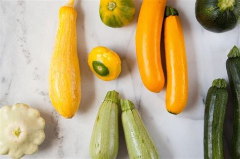 Species Of Zucchini