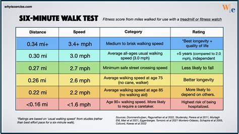 Speed Of Walking Average Km/Hr