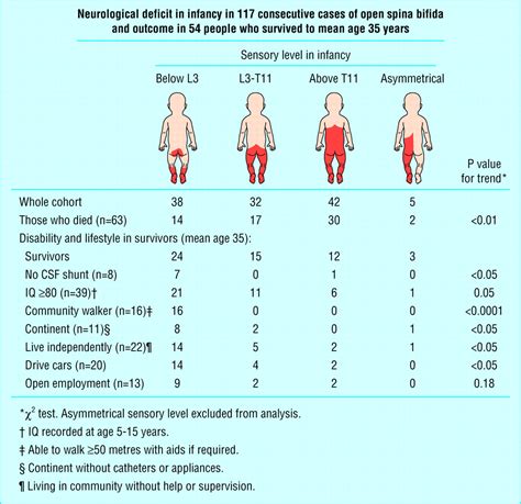 Spina Bifida Life Expectancy