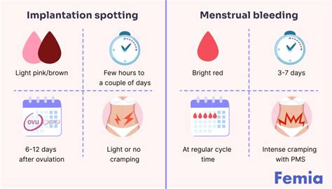 Spotting While Pregnant