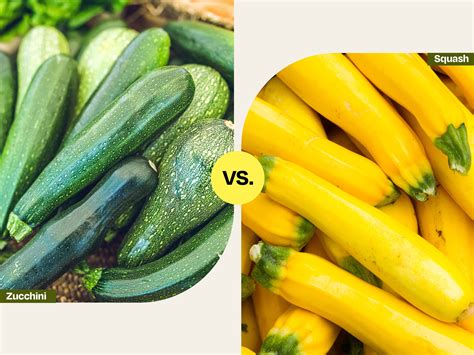 Squash Is Good For You