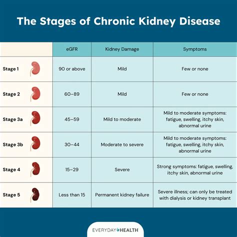 Stage 5 Kidney Disease
