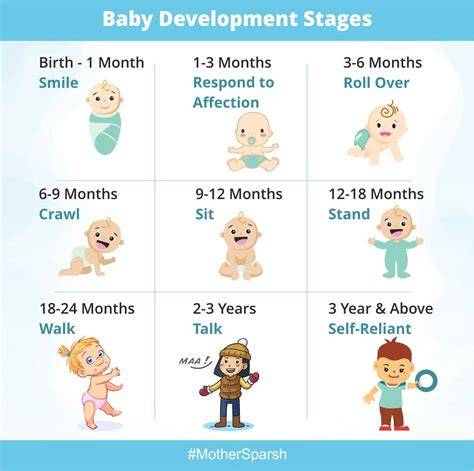 Stages Of Baby Development