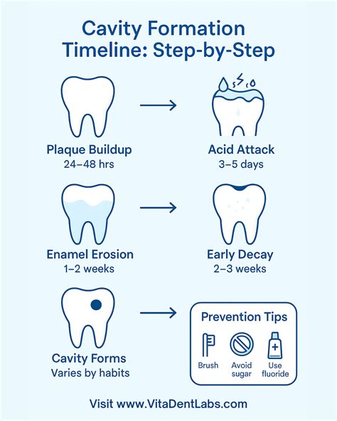 Stages Of Cavity