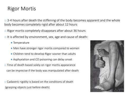 Stages Of Death Mortis