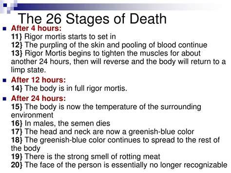Stages Of Death