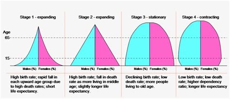 Stages Of Dtm