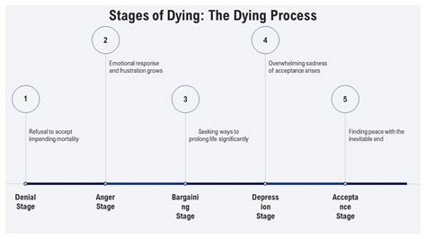 Stages Of Dying Process