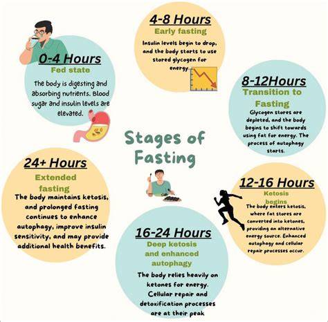 Stages Of Fasting Benefits By The Hour