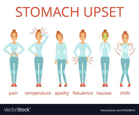 Stages Of Food Poisoning