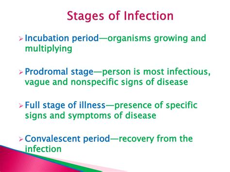 Stages Of Infection