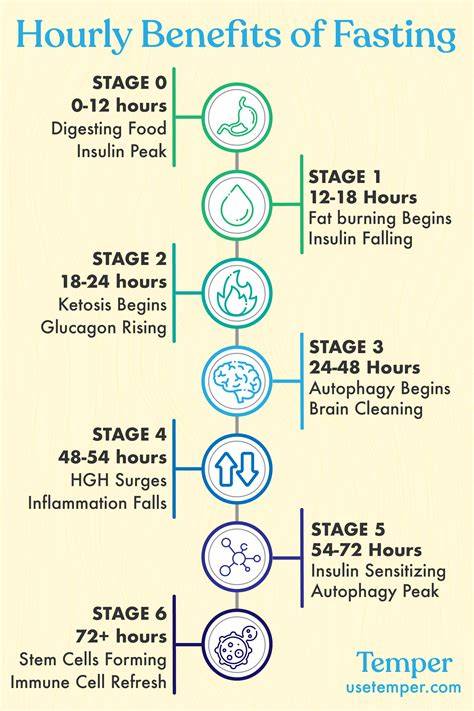 Stages Of Intermittent Fasting