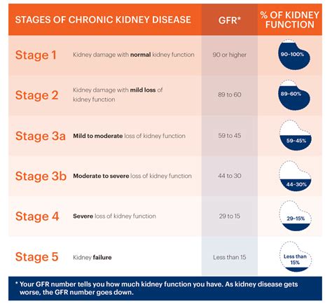 Stages Of Kidney Failure