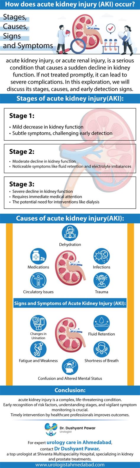 Stages Of Kidney Injury
