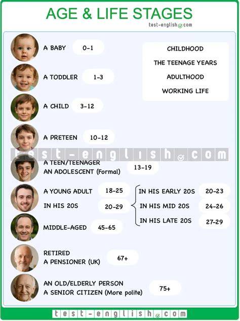 Stages Of Life By Age