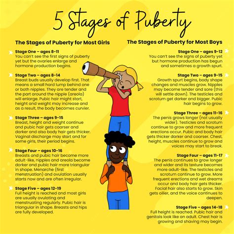 Stages Of Puberty