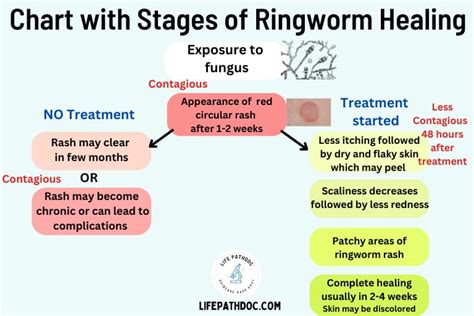 Stages Of Ringworm Healing
