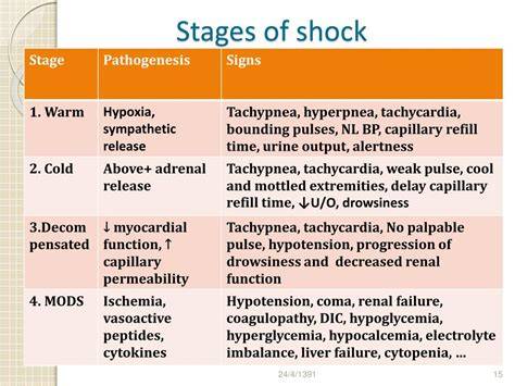 Stages Of Shock