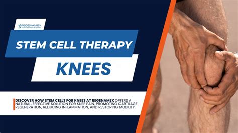 Stem Cell Therapy For Knees