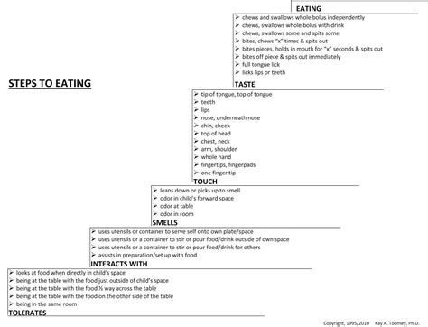 Steps To Eating Hierarchy