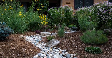 Steps To Xeriscape