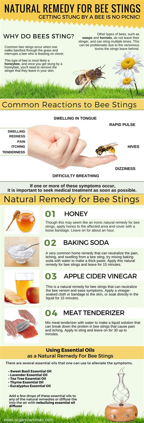 Sting Of A Bee Remedy