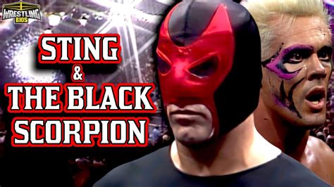 Sting Of The Black Scorpion
