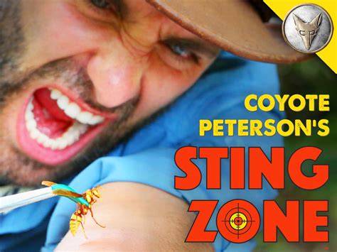 Sting Zone