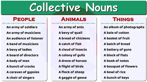 String Of Collective Noun