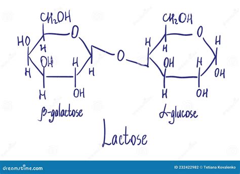 Structure Of Lactose