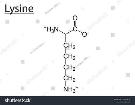 Structure Of Lysine