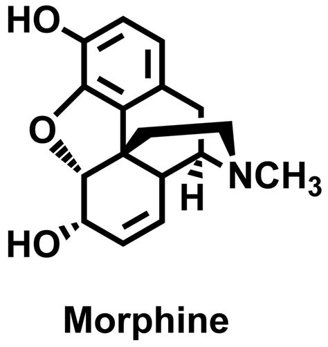 Structure Of Morphine
