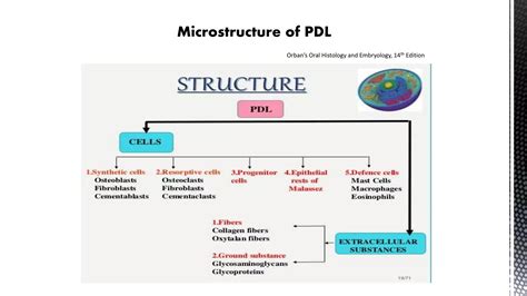 Structure Of Pdl