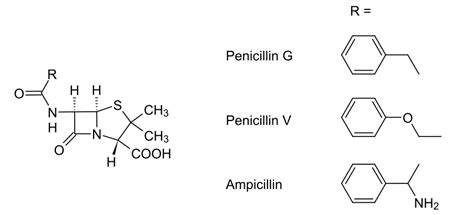 Structure Of Penicillin
