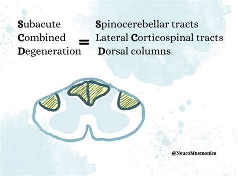 Subacute Combined Degeneration