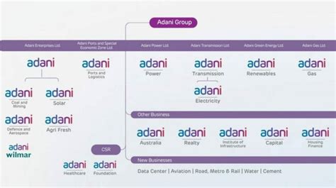 Subsidiaries Of Adani Group