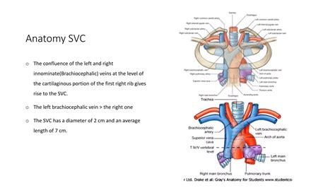 Svc Medical Abbreviation
