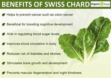 Swiss Chard Benefits