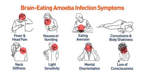 Symptoms Of Brain Eating Amoeba