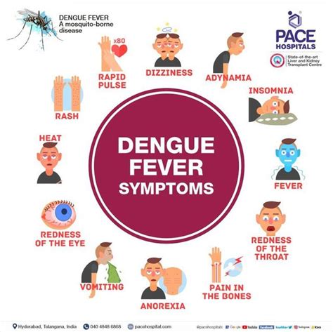 Symptoms Of Dengue