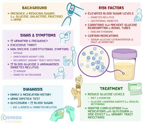 Symptoms Of Glucose In Urine During Pregnancy