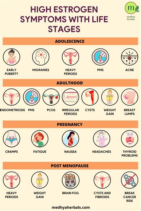 Symptoms Of High Estrogen
