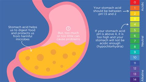 Symptoms Of Low Stomach Acid