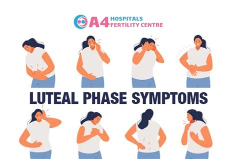 Symptoms Of Luteal Phase