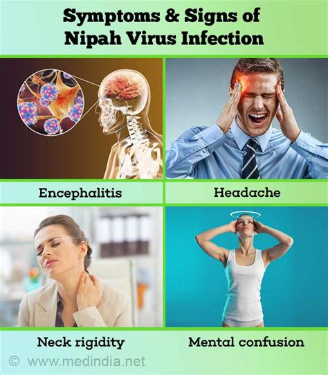 Symptoms Of Nipah Virus