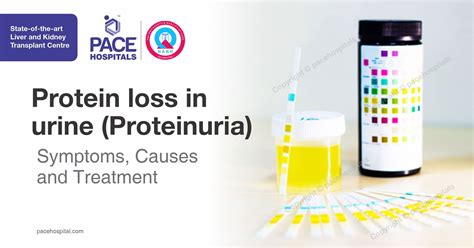 Symptoms Of Protein In Urine