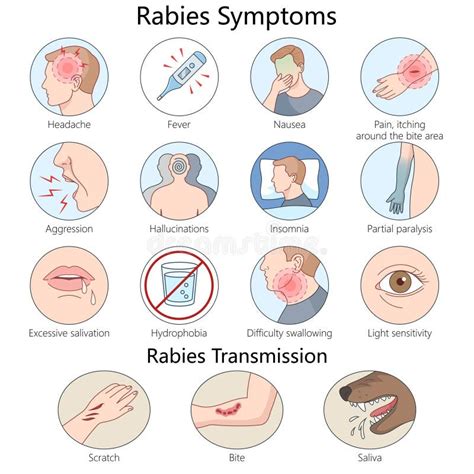 Symptoms Of Rabies In Animals